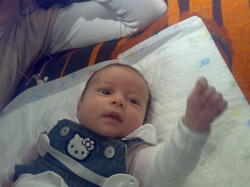 10032008133.jpg